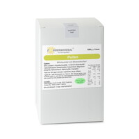 Pollen (Themenpulver) – Nachfüllkarton (1000 g)