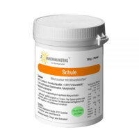 Schule (Themenpulver) – Kunststoffdose (150 g)